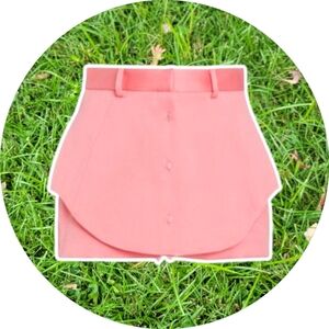 Brandon Maxwell Satin Shorts